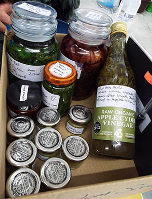 healingremediesmedium