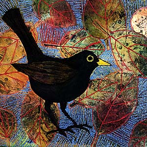 Copper Beech Blackbird